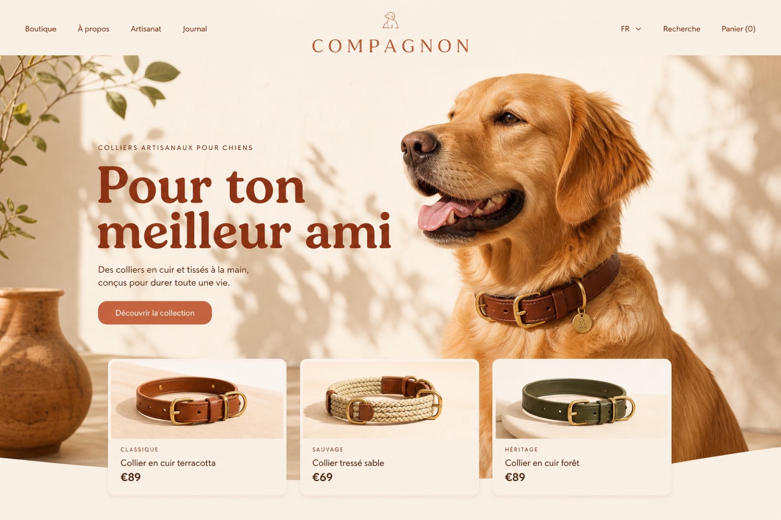 Compagnon — Colliers pour chiens