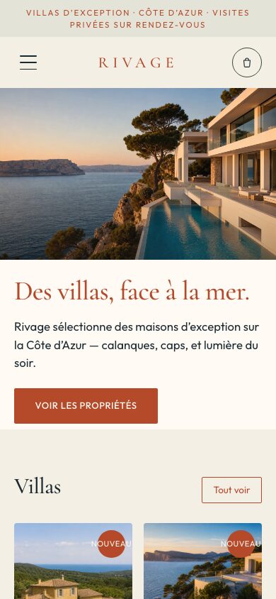 Aperçu du thème Rivage